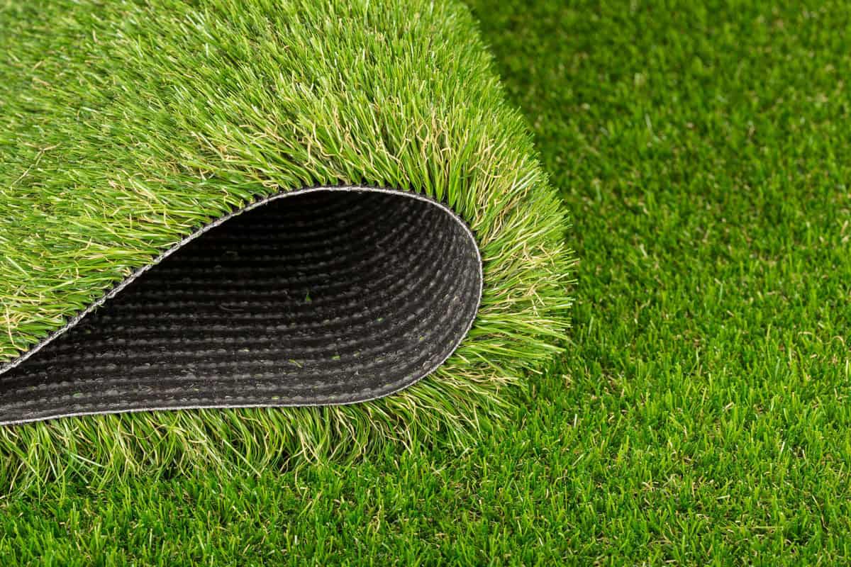 a roll of artificial grass about to be installed